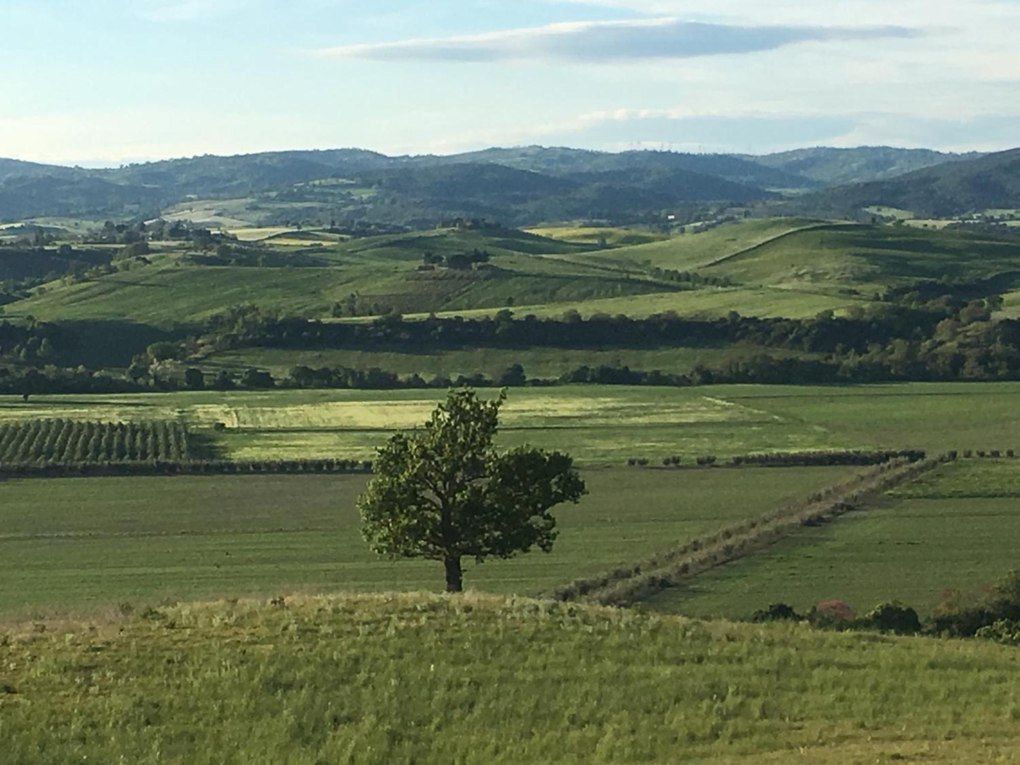 Agriturismo Fontenuova サトゥルニア エクステリア 写真